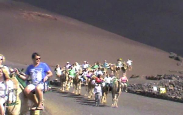 LANZAROTE CAMEL SAFARI TOUR